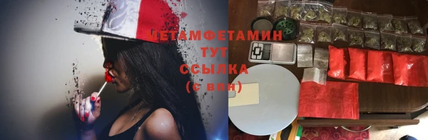 сатива Медногорск