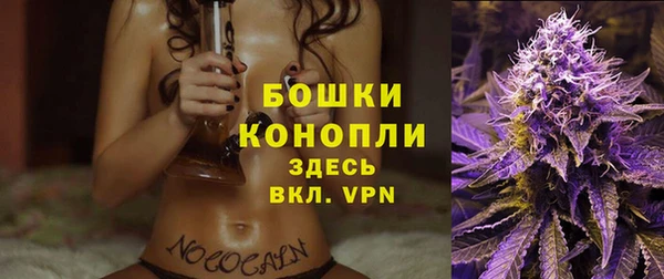 сатива Медногорск
