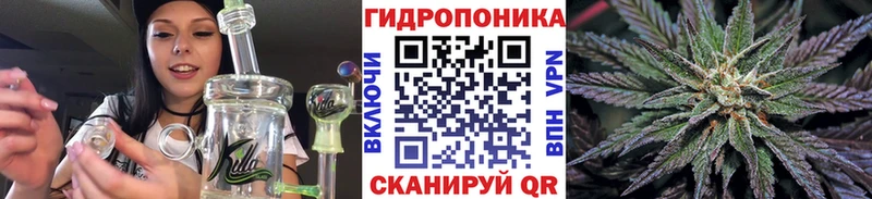 Бошки Шишки Amnesia  Купить закладки  Асино 